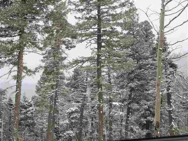 Other - Palo Flechado Ridge Road lot: 11, Angel Fire, NM