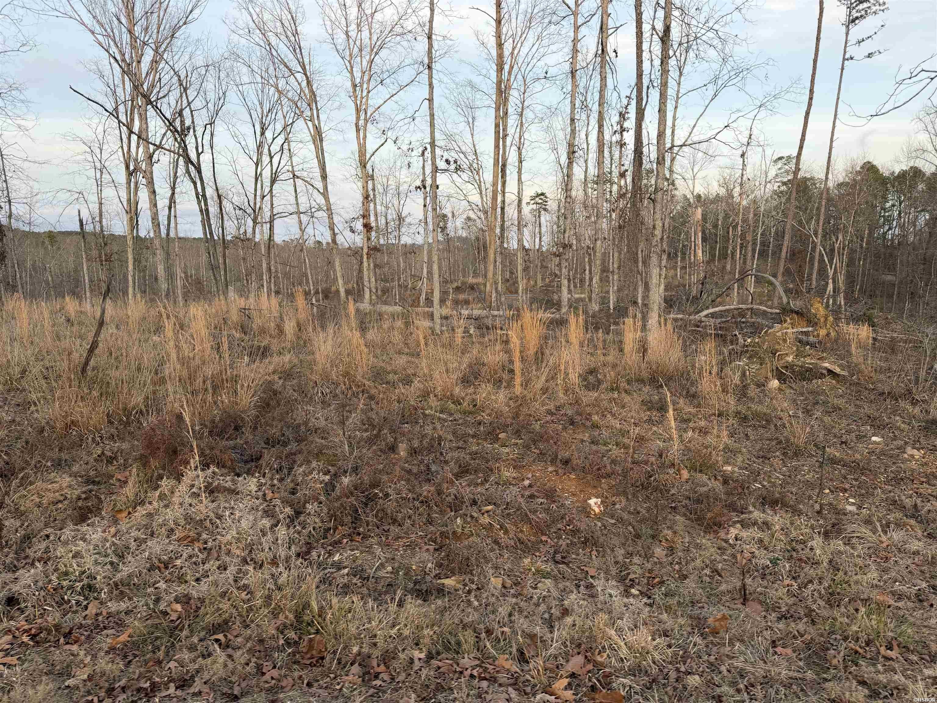 Single Family - TBD BURGOS Way, Hot Springs Village, AR