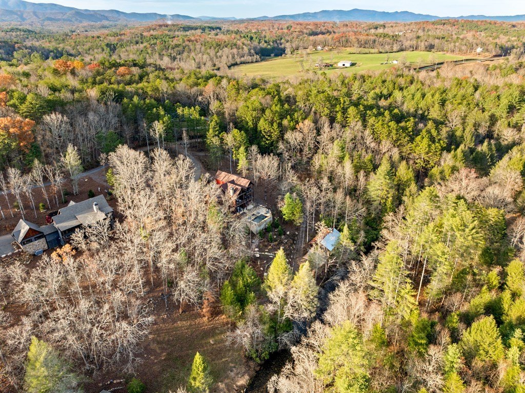 Other 5BR 6BA - 450 Miracle Lane, Blue Ridge, GA