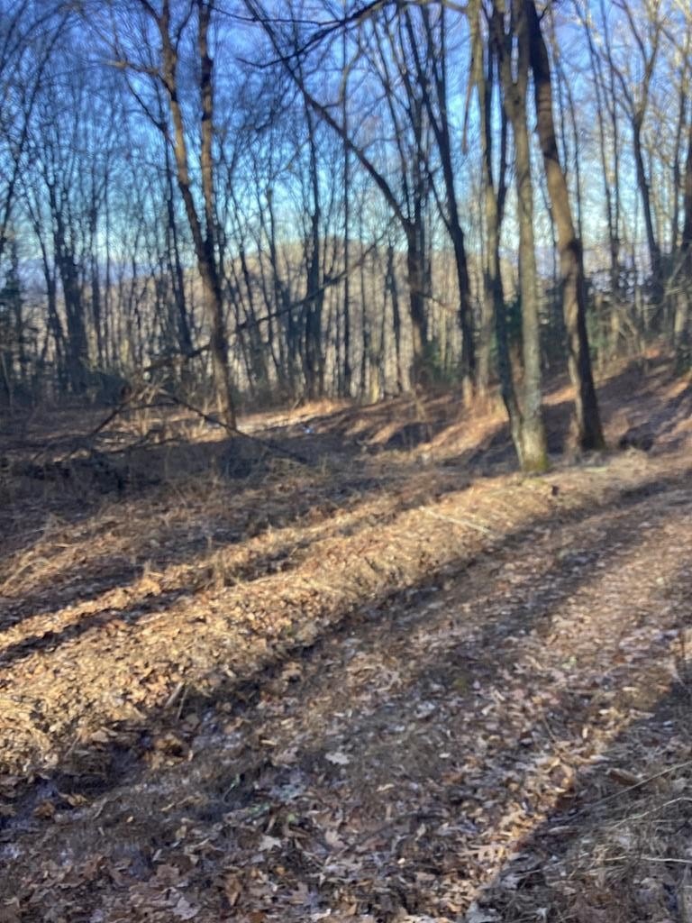 Other - Frye Mountain, Bryson City, NC