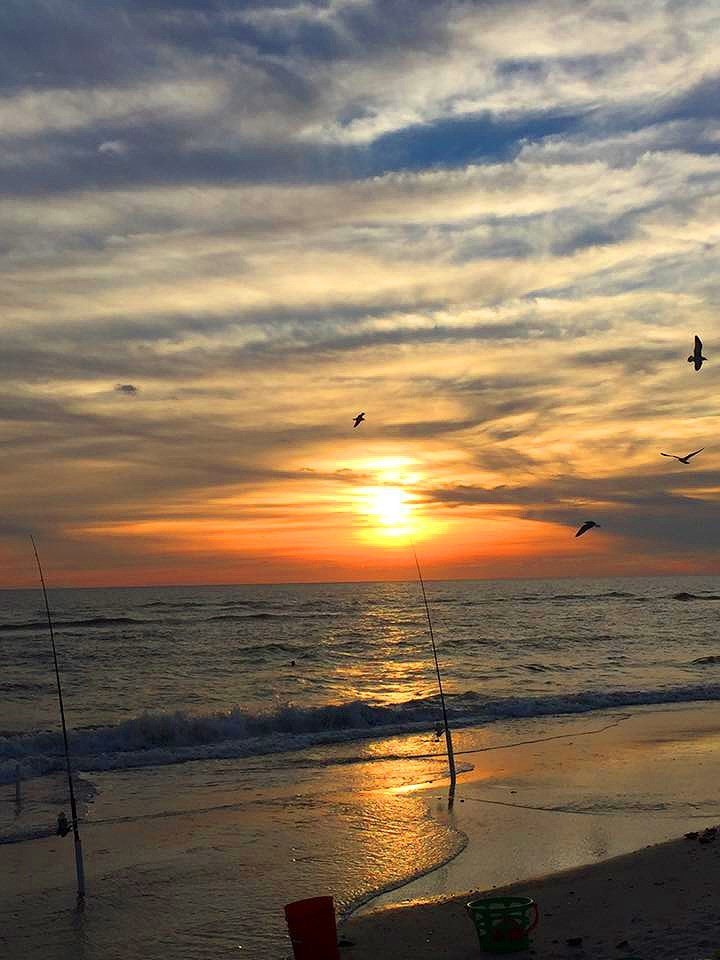 Other - 2315 Hwy 98, Mexico Beach, FL