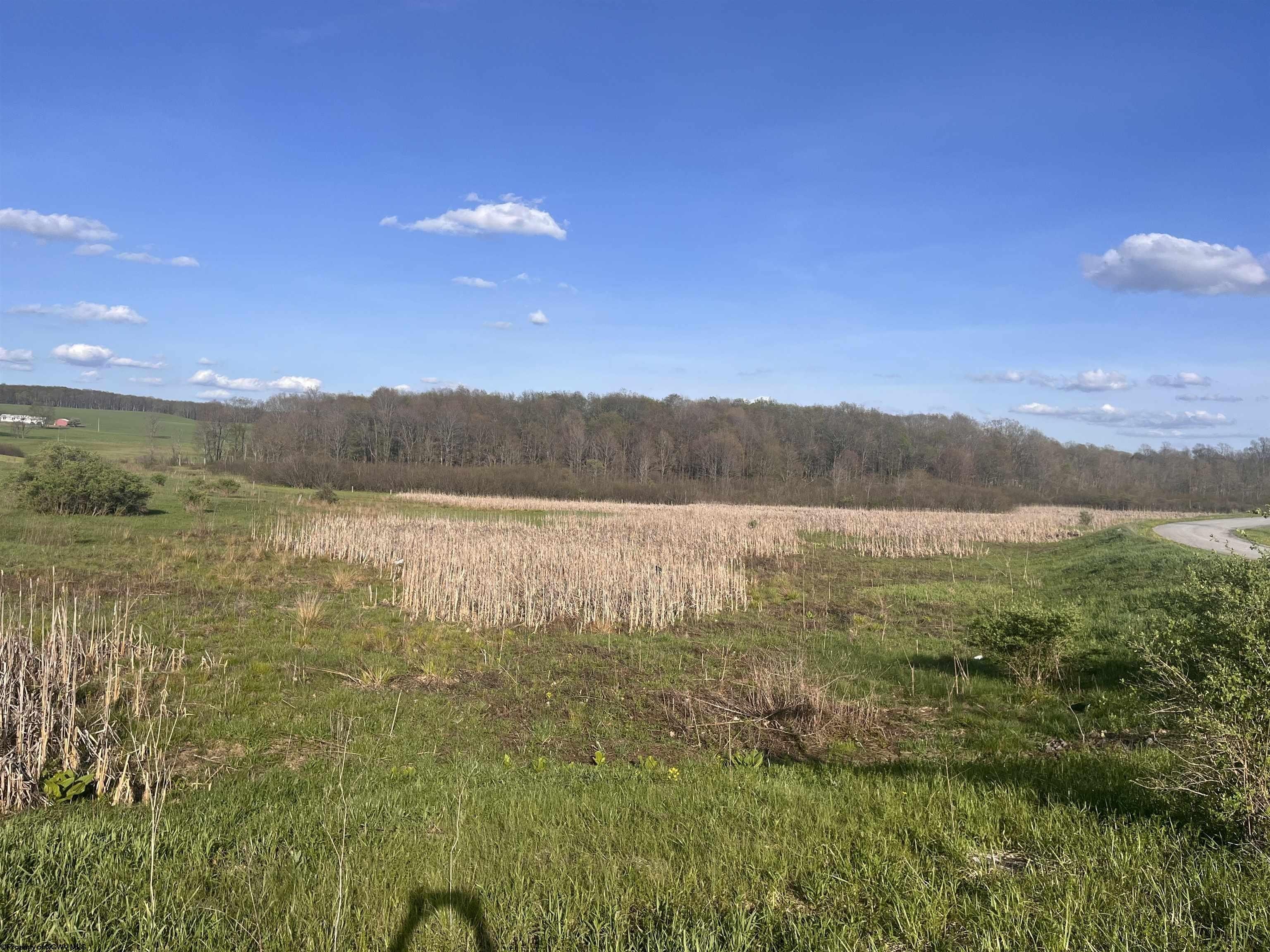 Other - 34 Meadow Lark Drive, Bruceton Mills, WV