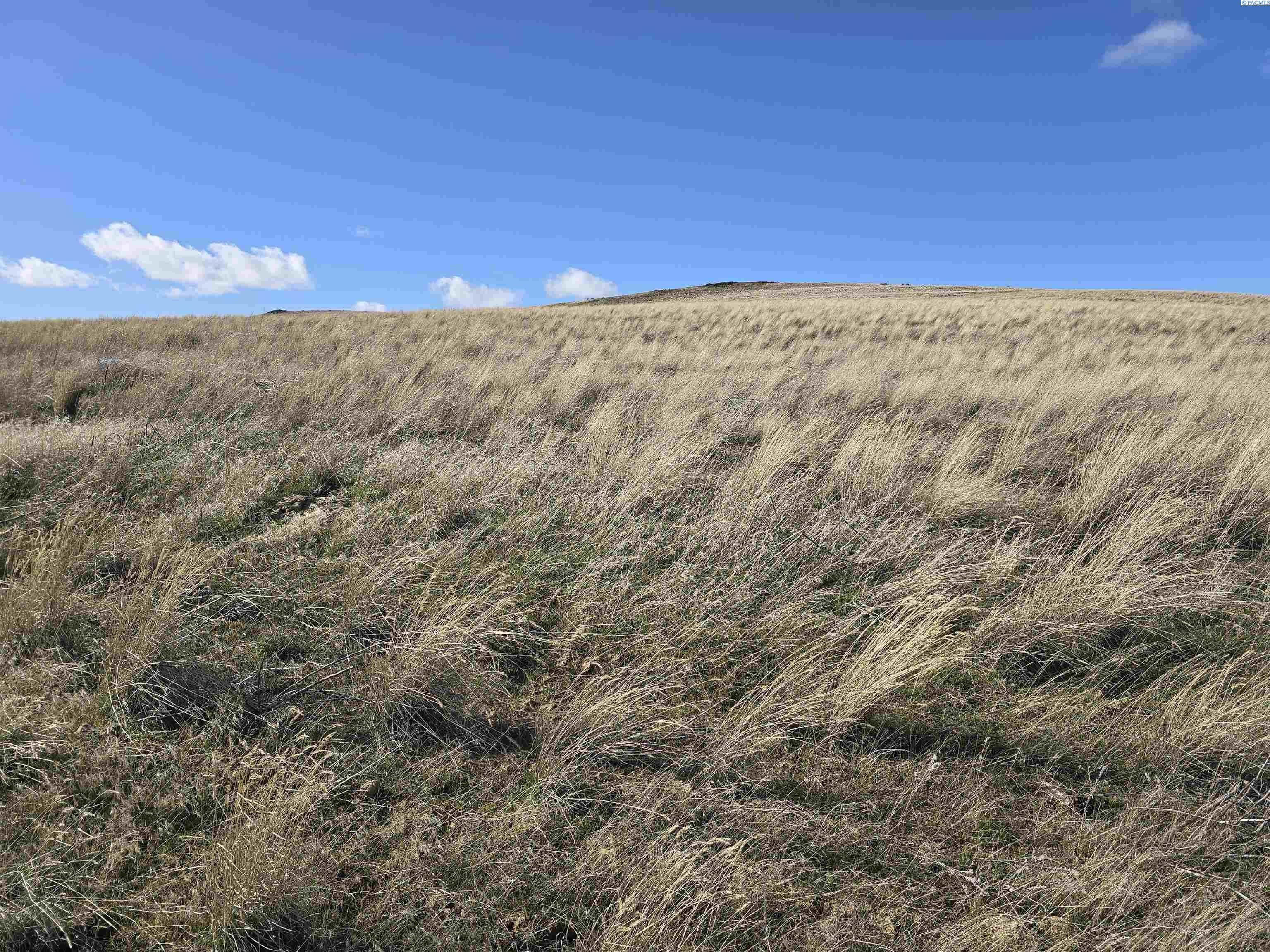 Other - 15285 Mabton-Bickleton Rd, Mabton, WA