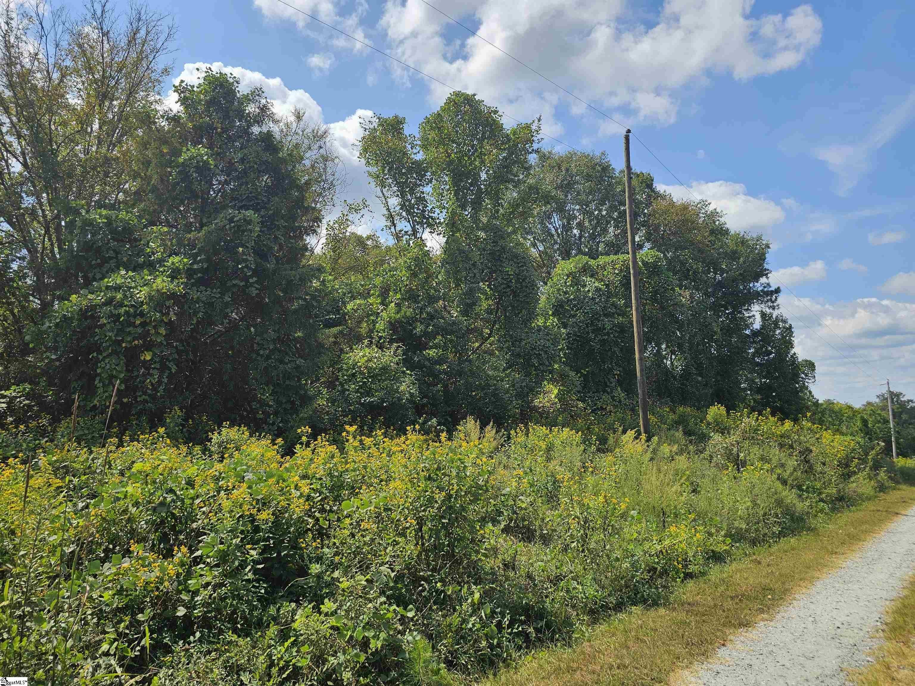 Other - Slumber Drive, Waterloo, SC