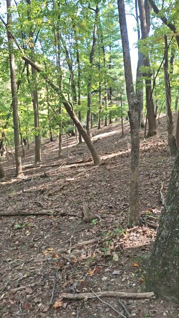 Other - 315 Windflower Drive, Big Canoe, GA