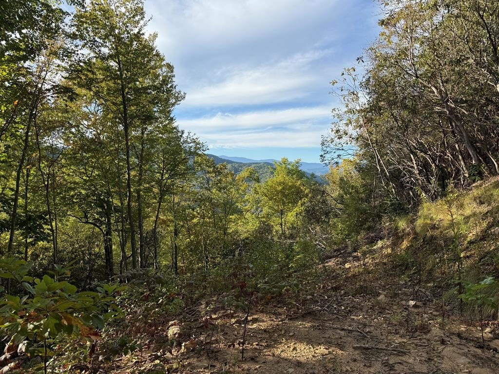 Other - 345 Cardinal Bluff Drive, Whittier, NC