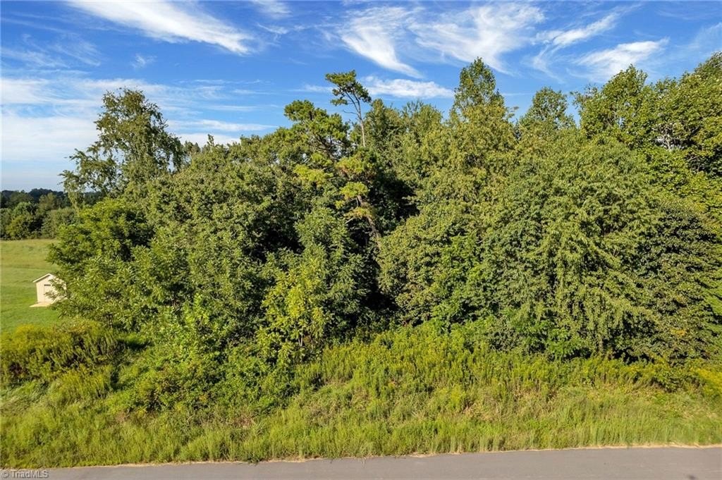 Single Family - Regal Oaks Drive lot: 16, Wilkesboro, NC