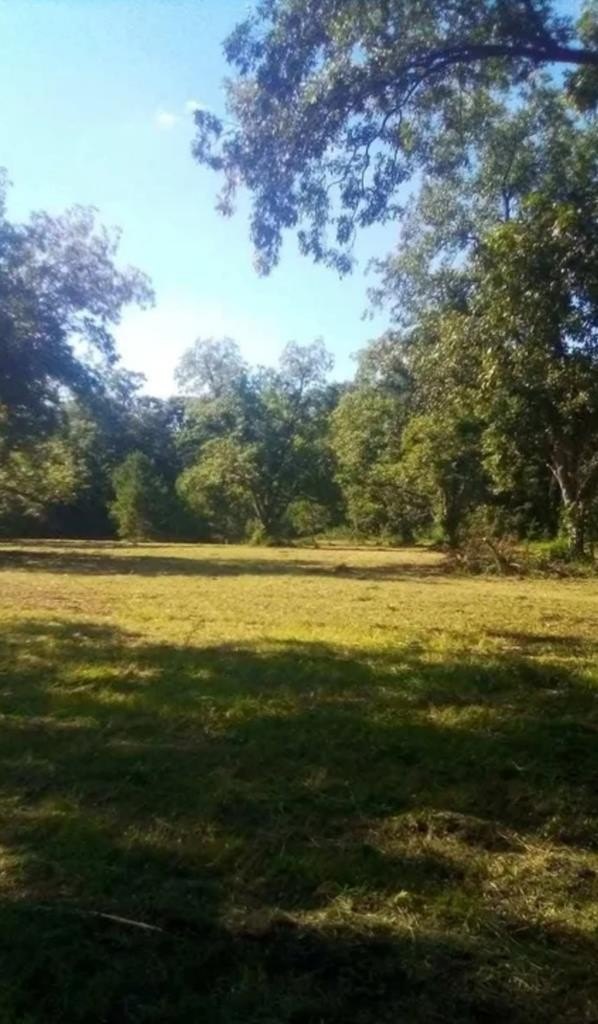 Single Family - O Ashford Road Ashford Road, Ashford, AL