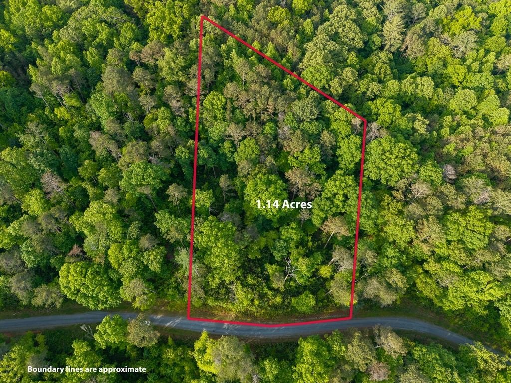 Other - Lt 45 Hilton Drive, Ellijay, GA