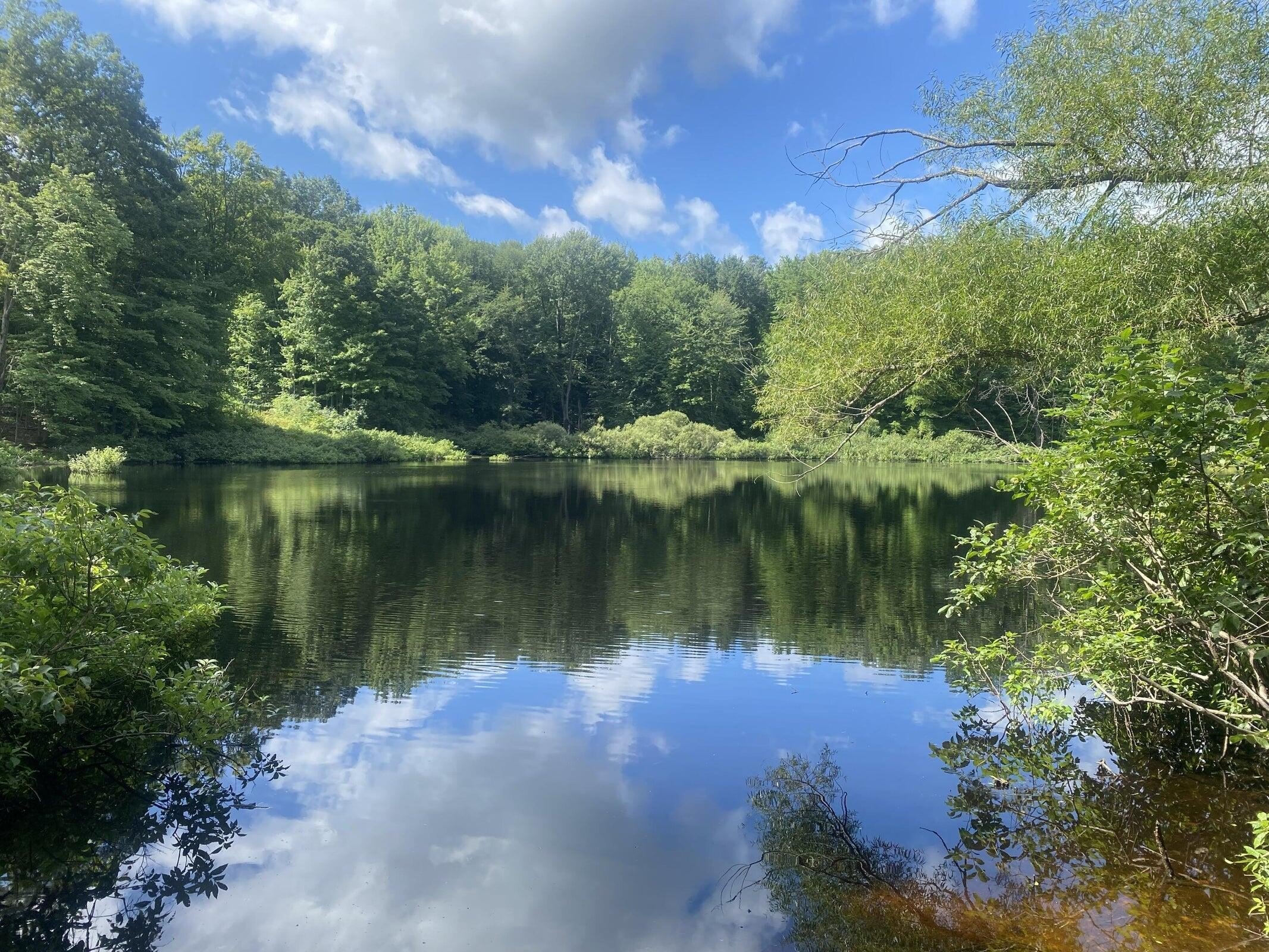 Other - 9425 Benjamin Drive, Newaygo, MI