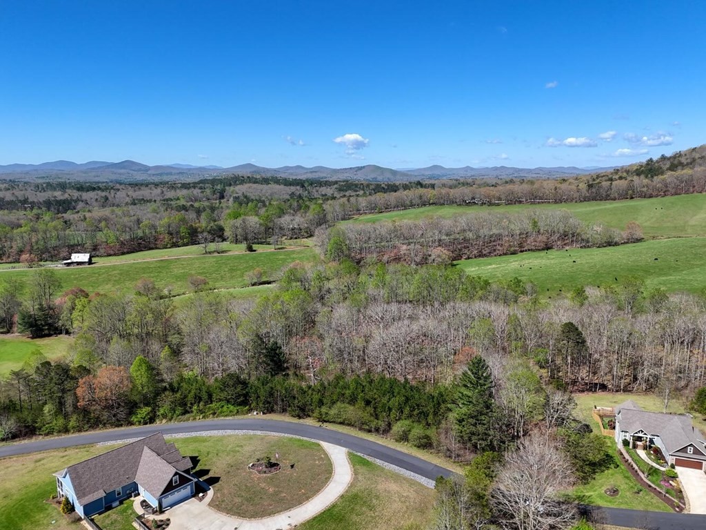 Other - Lot 44 Owen Vista, Blairsville, GA