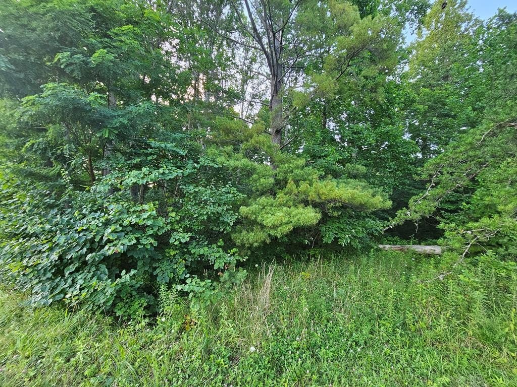 Other - Denton Valley Road lot: 14C, Bristol, TN