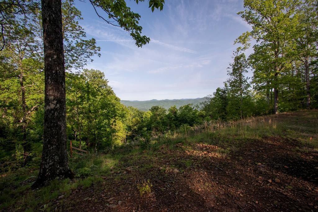 Other - 43/44 Timberwood Mountain Estates lot: 43/44, Marble, NC