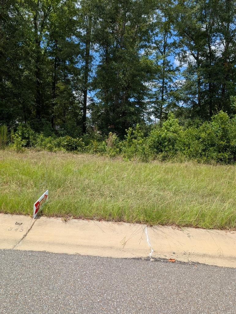 Single Family - 341 Grand Harbor Circle, Dothan, AL