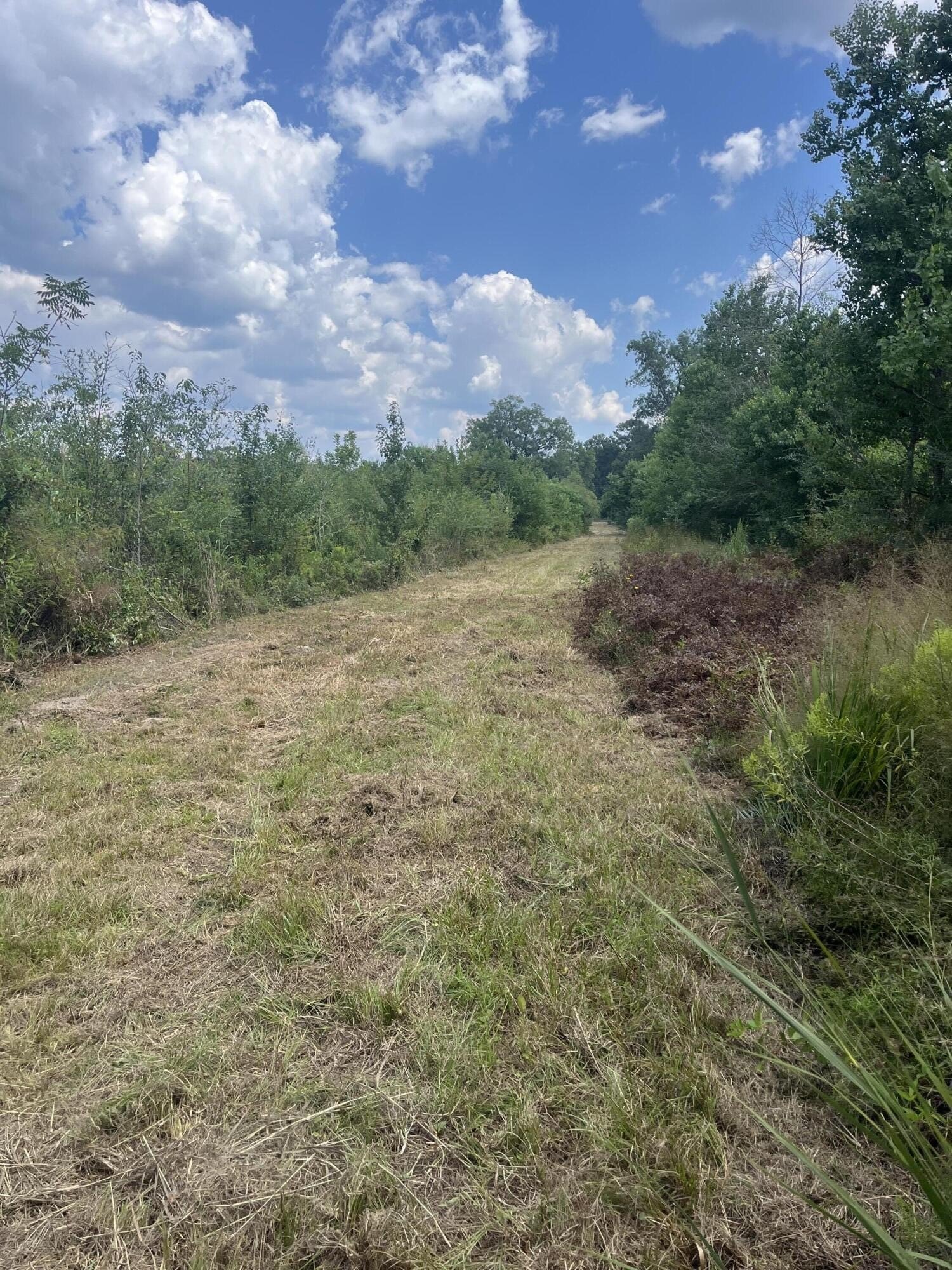 Other - TBD George Boutwell, Ovett, MS