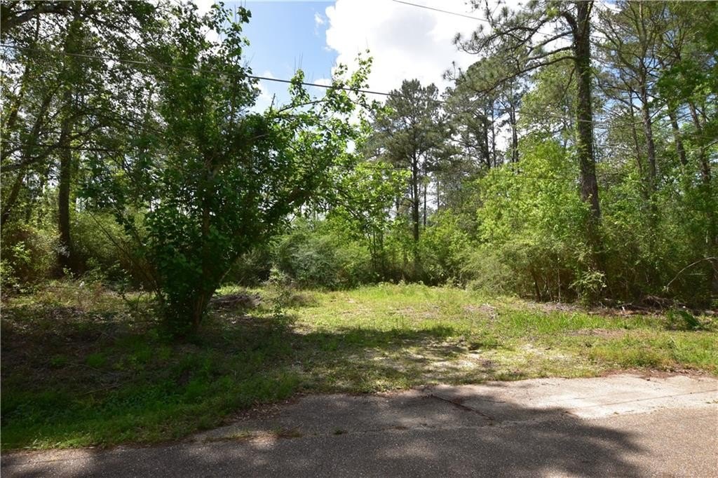 Other - 36151 CENTRAL Avenue, Pearl River, LA