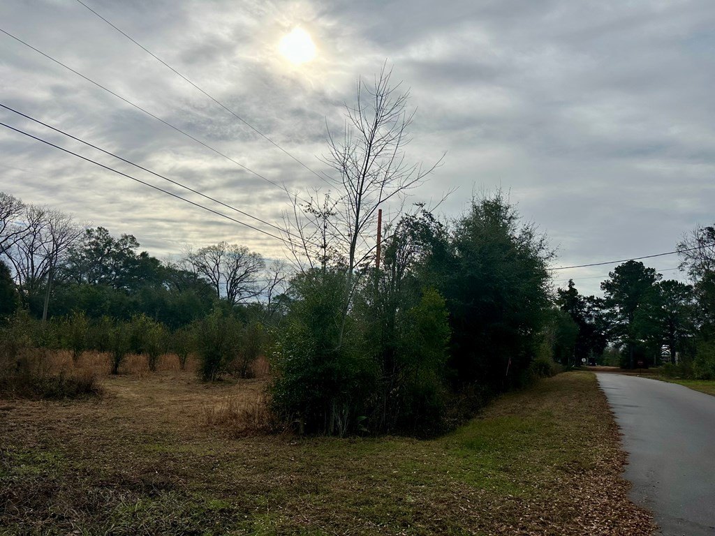 Single Family - 207 Cherry Street, Chancellor, AL