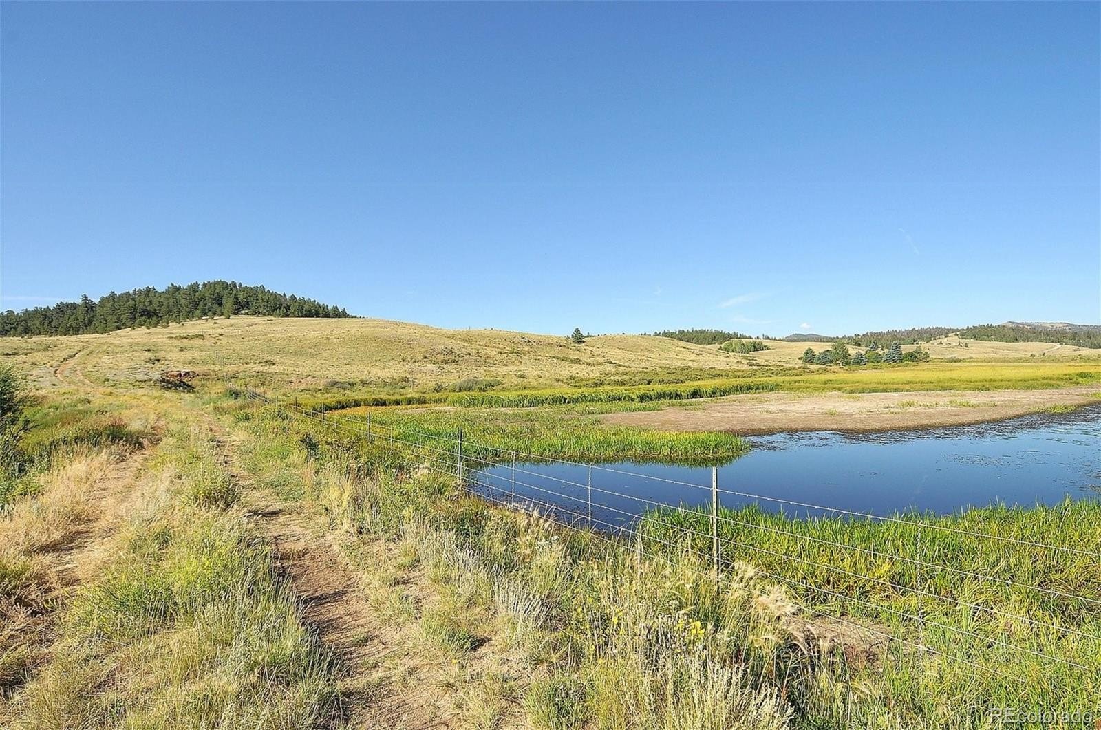 Other - 1245 Badger Creek Road, Hartsel, CO