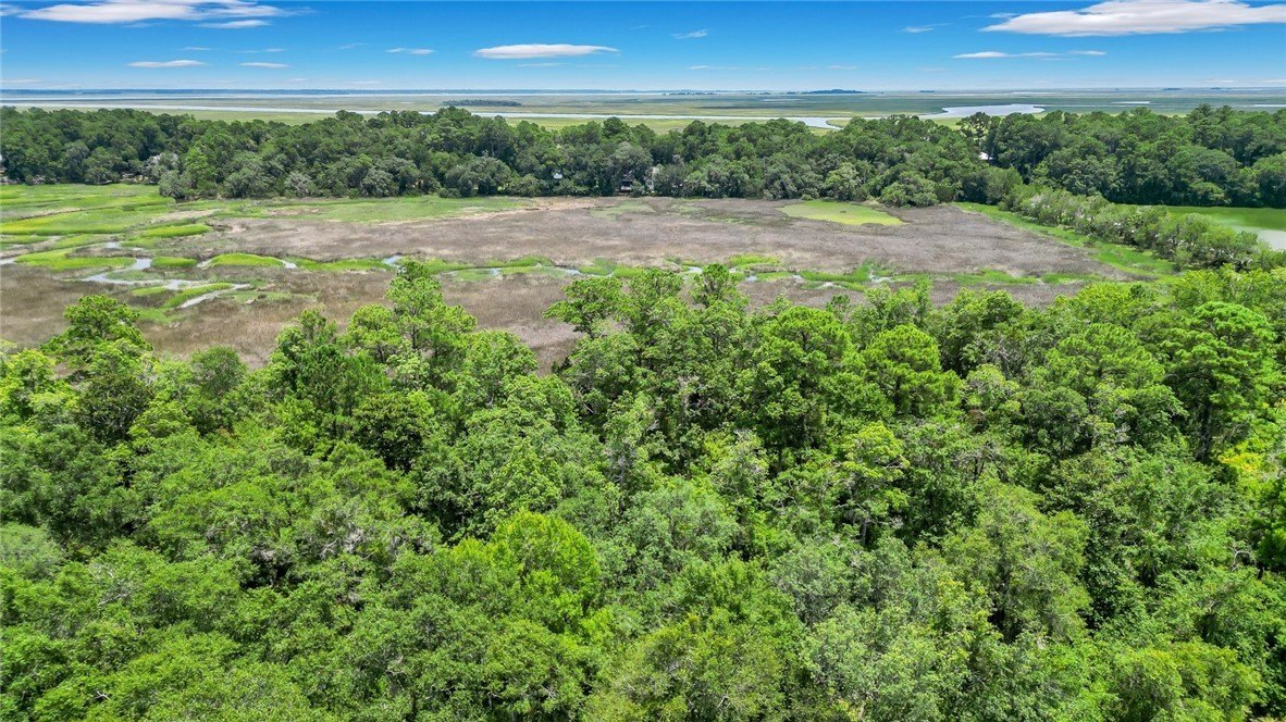 Other - Lot 59 St Joseph's Point, Darien, GA