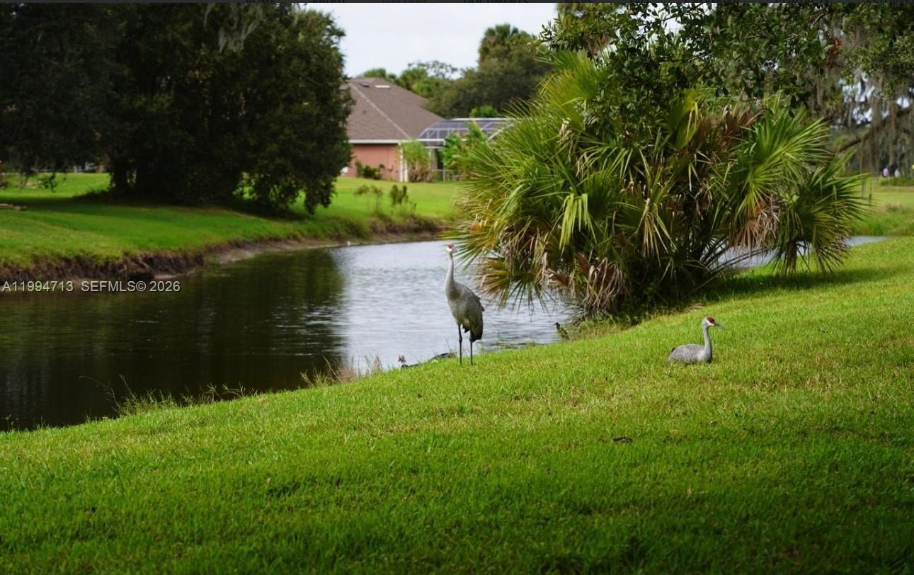 Single Family 4BR 3BA - 1754 Boat Launch Rd, Kissimmee, FL