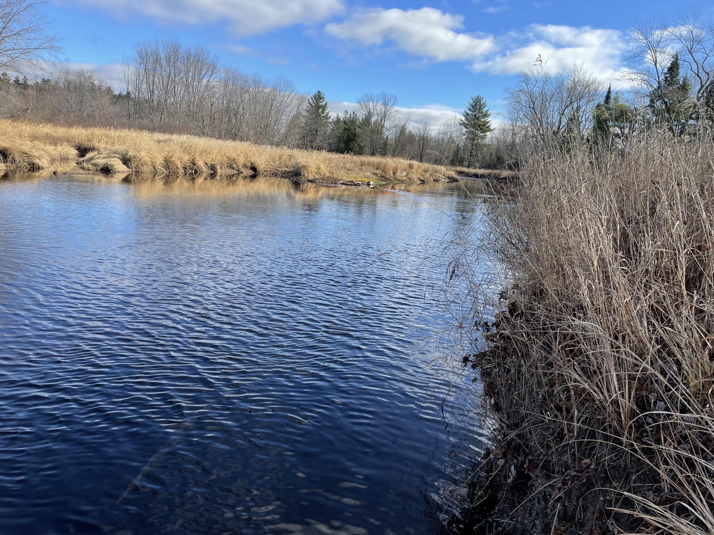Other - Lord Brook Road lot: 40, Grand Falls Twp, ME