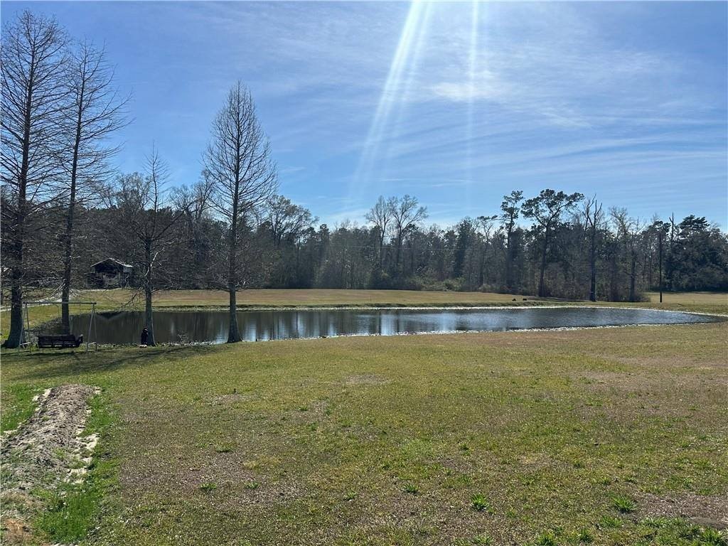 Other - 29752 Clinton Threeton Dr, Albany, LA