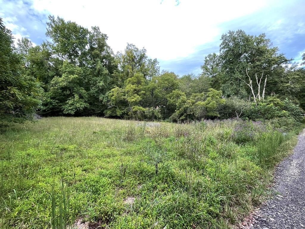 Other - Lot 9 Sharons Valley Drive, Hayesville, NC
