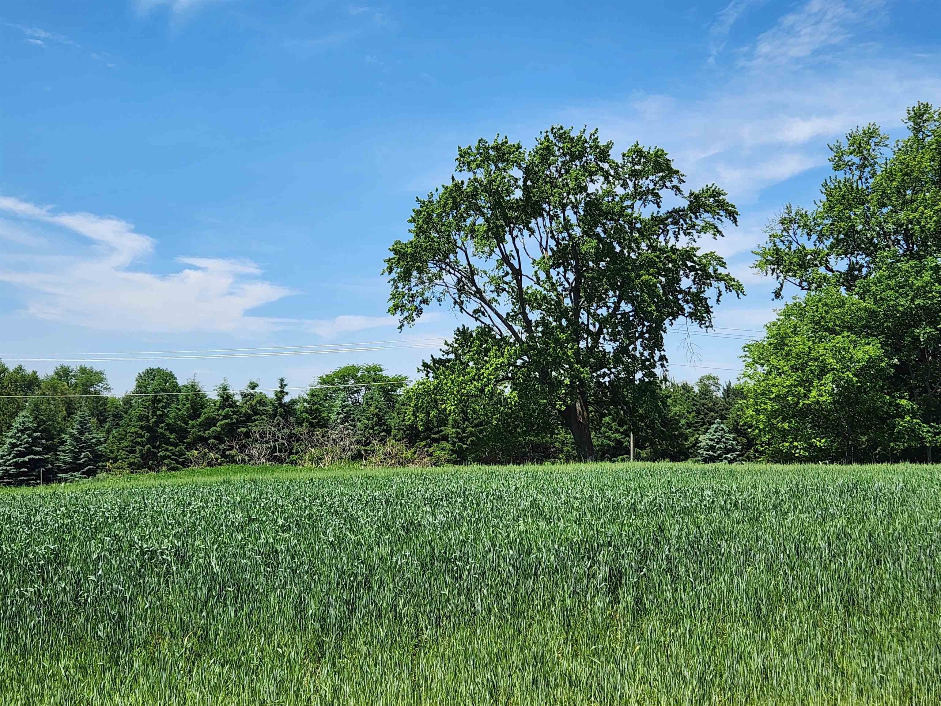 Other - L17 Kyla Brooke Lane lot: 17, Sun Prairie, WI