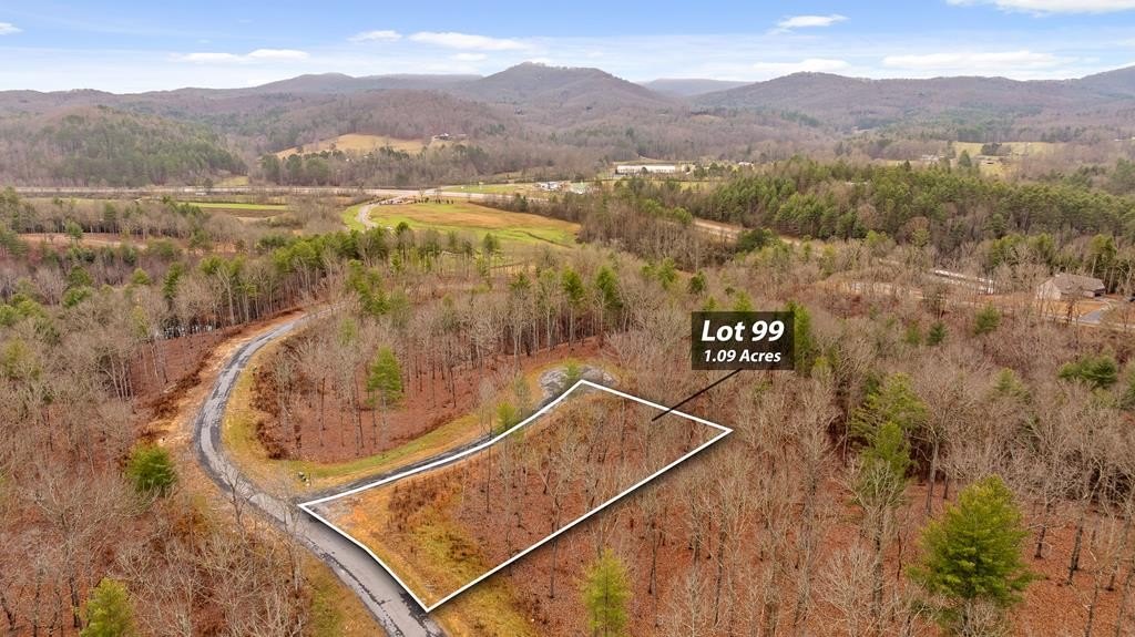 Other - Lot 99 South Wind Court, Morganton, GA