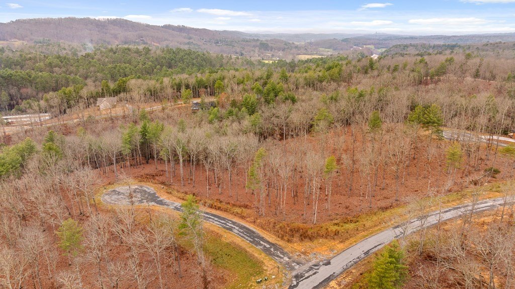 Other - Lot 99 South Wind Court, Morganton, GA