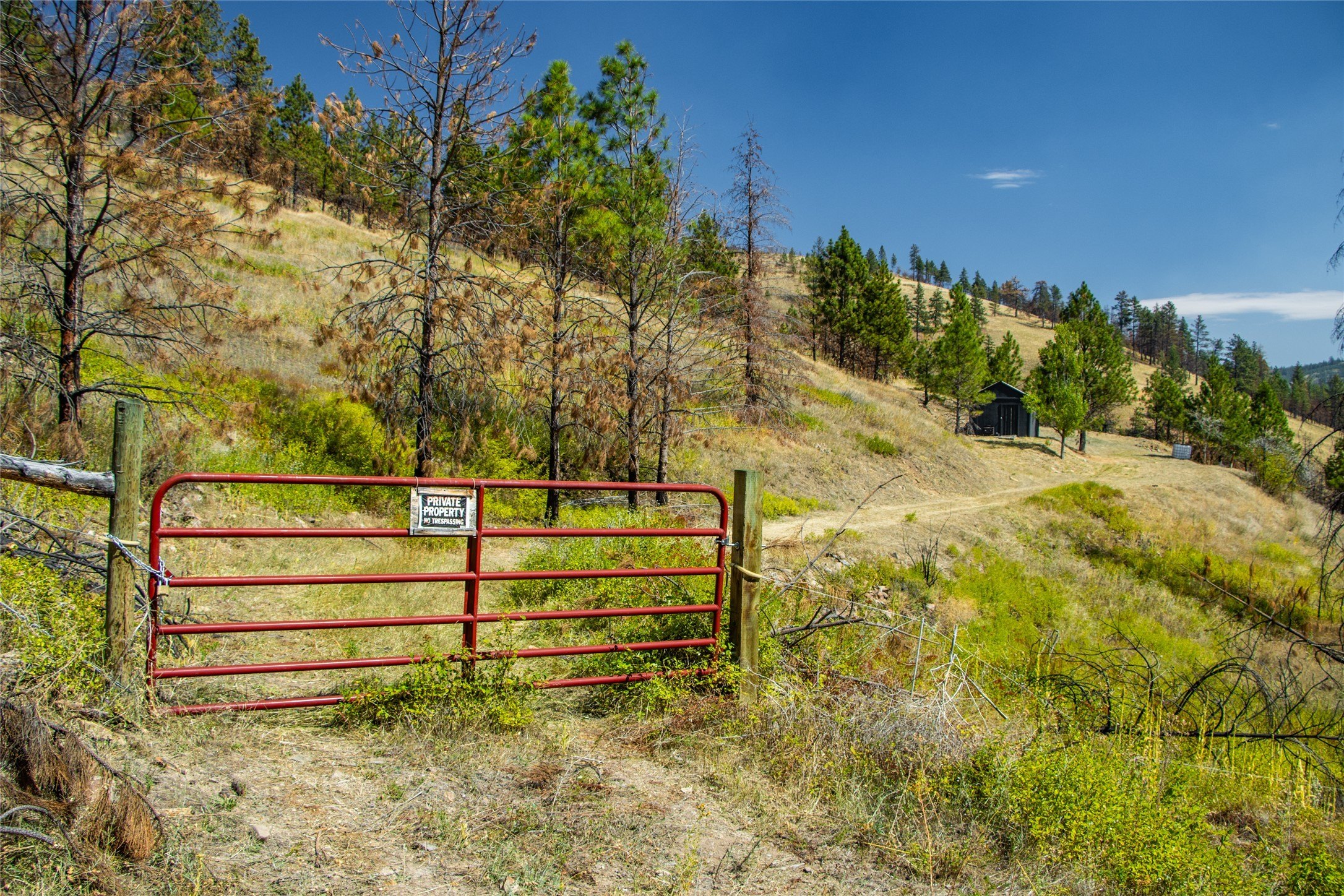 Plots and Land - TBD Mclaughlin Creek Road, Paradise, MT