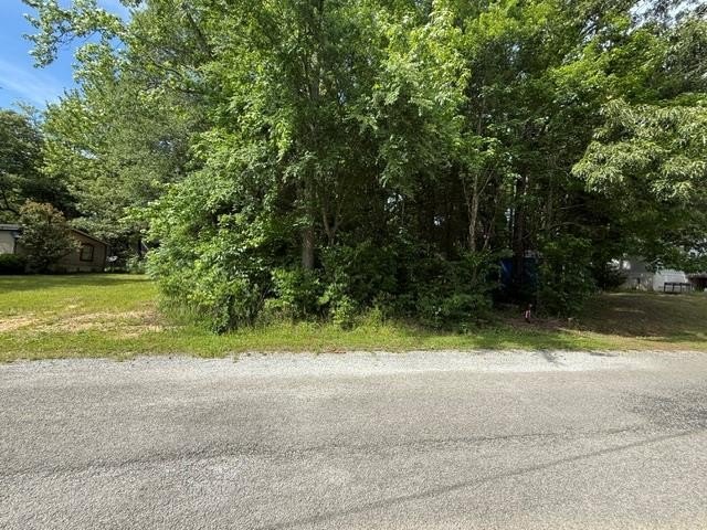 Other - Raintree Dr, BIG SANDY, TN