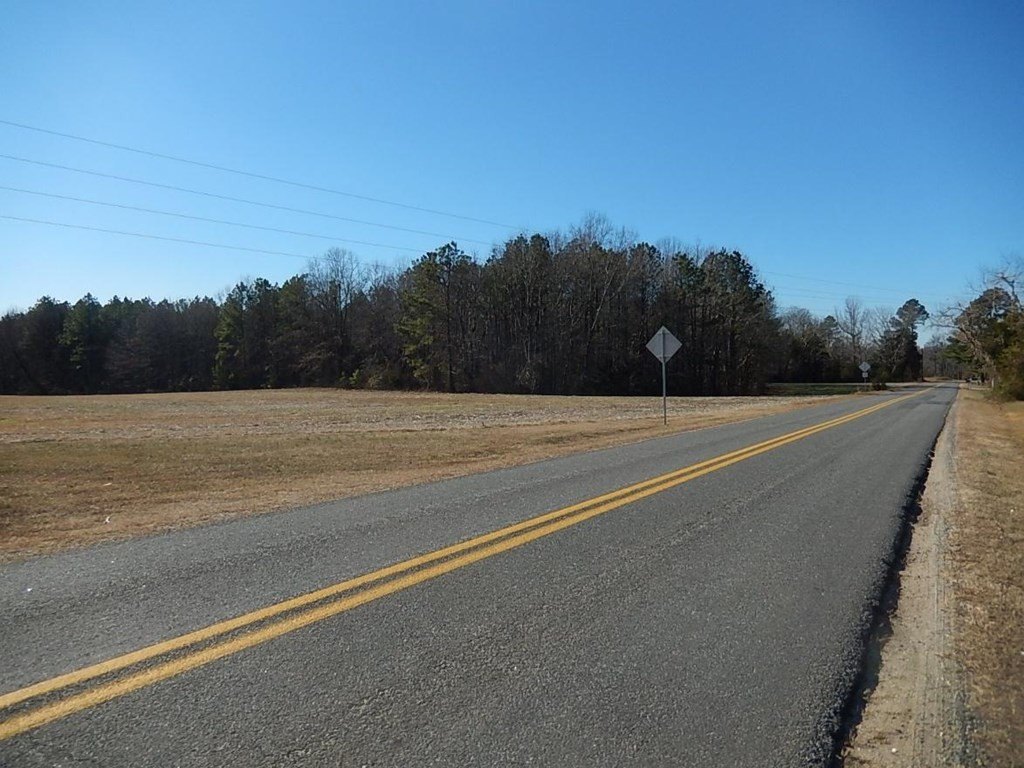 Single Family - TM 76A16 Passing Road, Milford, VA