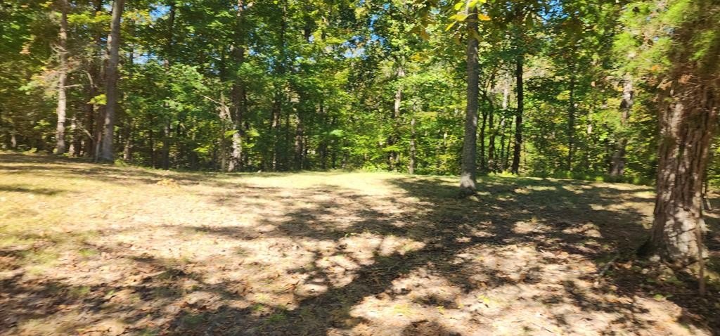 Single Family - Clydesdale Circle, CAMDEN, TN