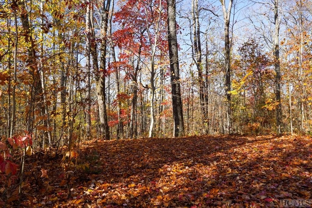 Other - High Point View Road lot: 17, Scaly Mountain, NC