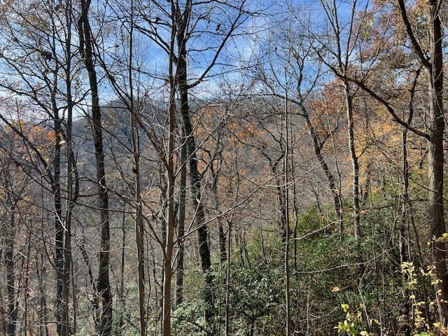 Other - Lot 19 The Highlands at Hightower Ridge, HIAWASSEE, GA