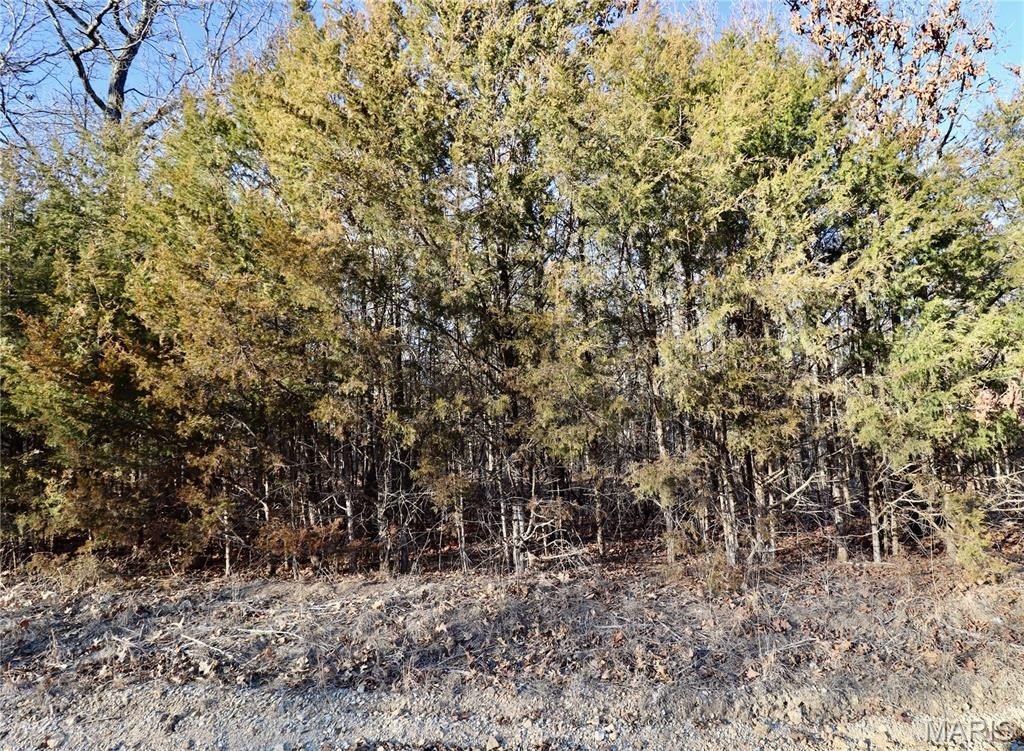 Other - 000 Cotrel Lane, Falcon, MO