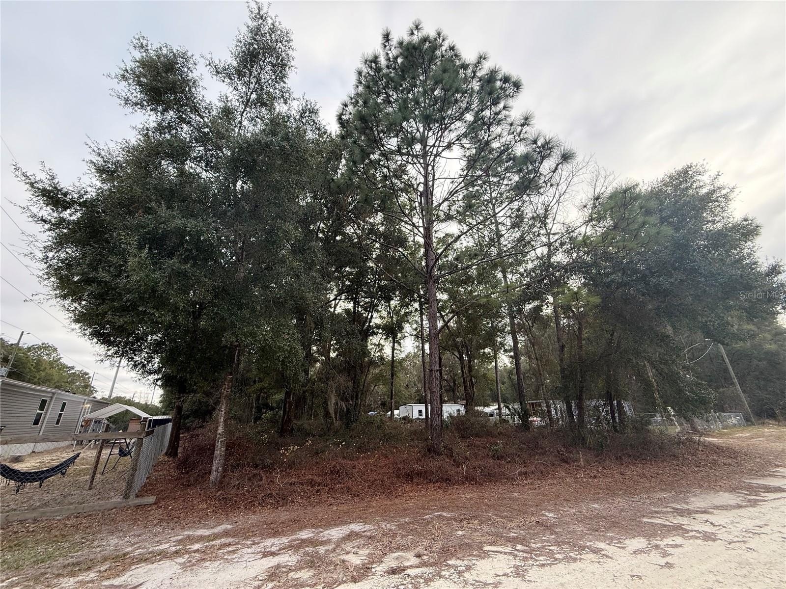 Other - SE 147 PLACE, SUMMERFIELD, FL