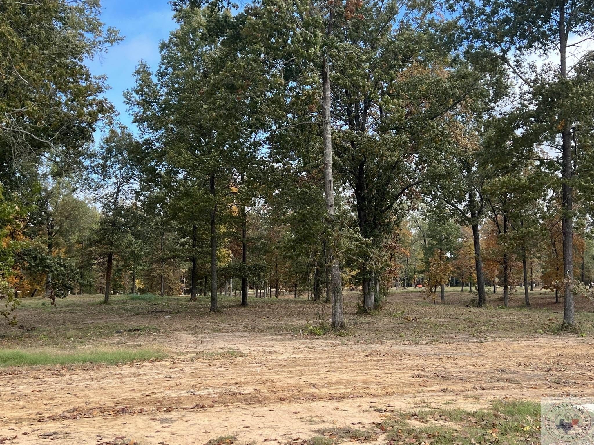 Other - 3517 Northern Red Oak Trail, Texarkana, AR