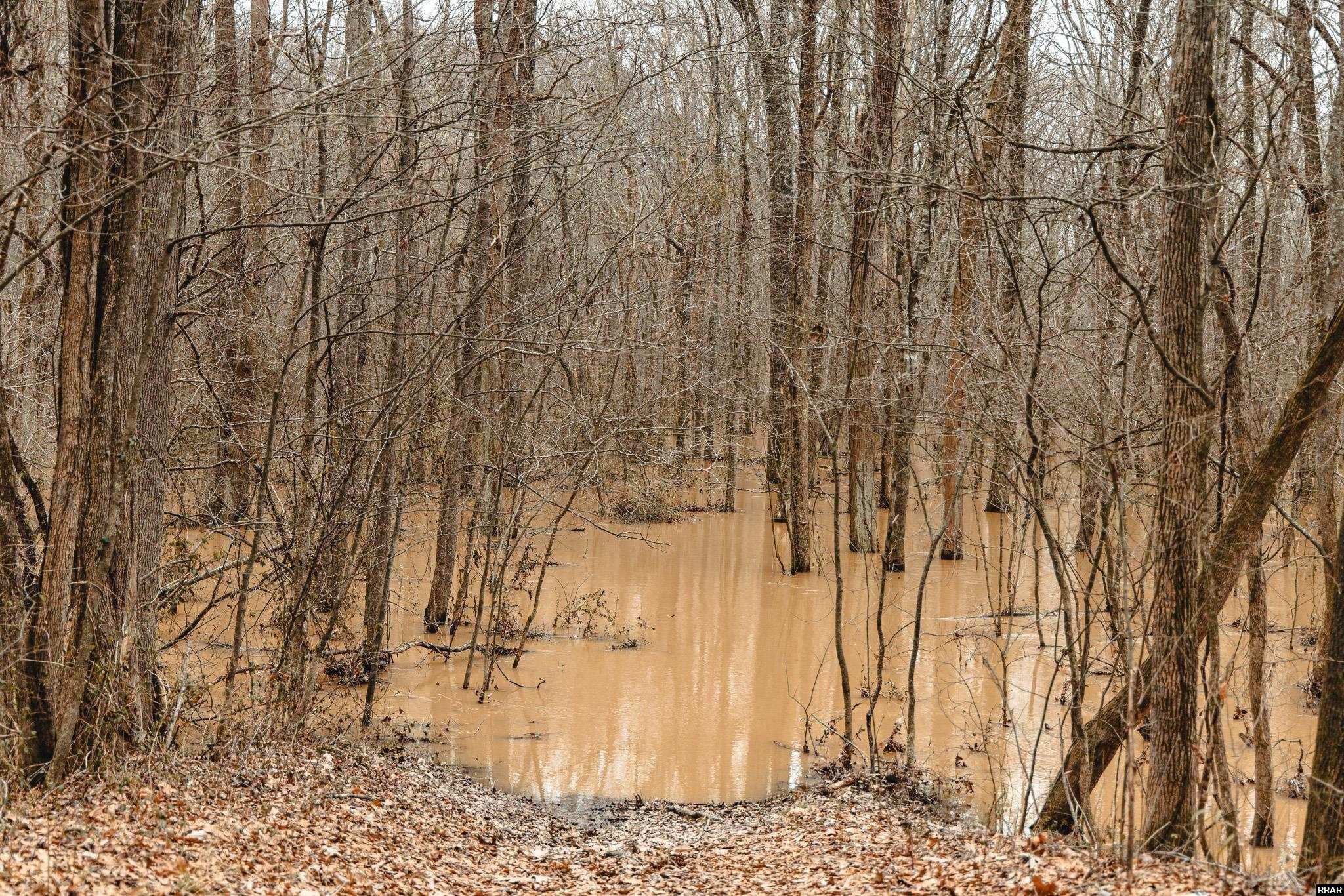 Other - Ethridge Levee Road, Greenfield, TN