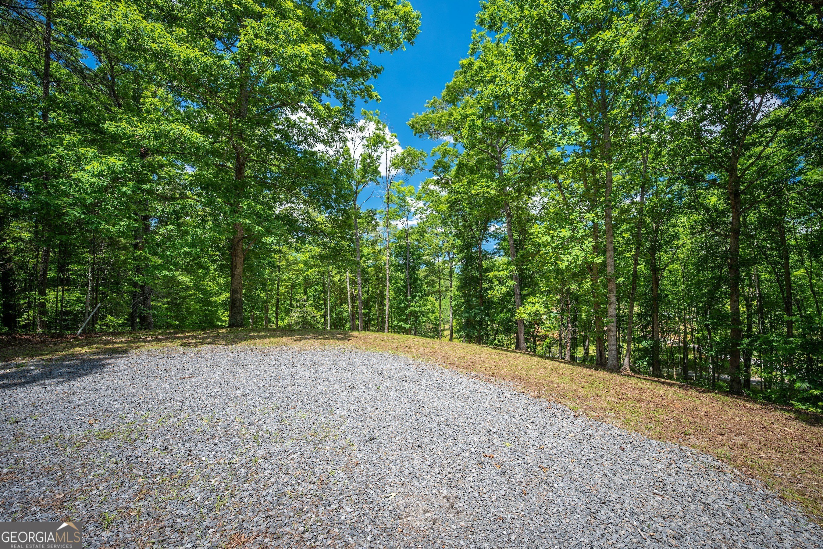 Other - 1.57AC Faith Hill RD, Mccaysville, GA