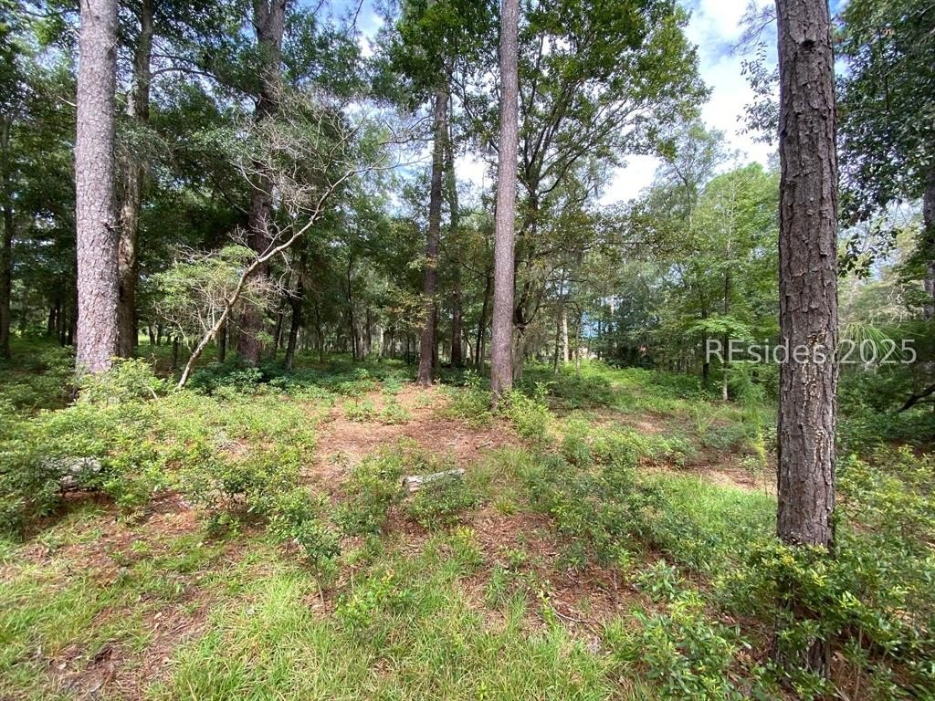 Other - 36 Martinangel Lane, Daufuskie Island, SC
