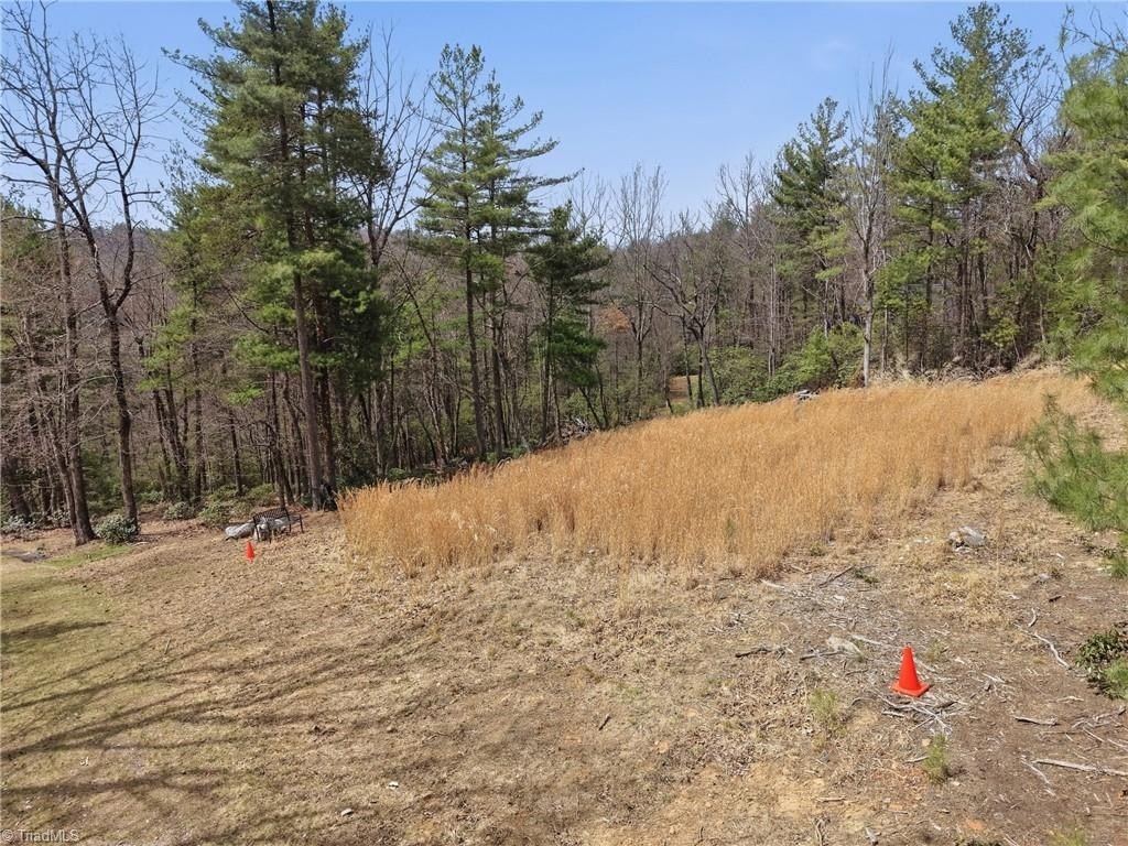 Single Family - Pepper Bush Road lot: 109 & 110, Purlear, NC