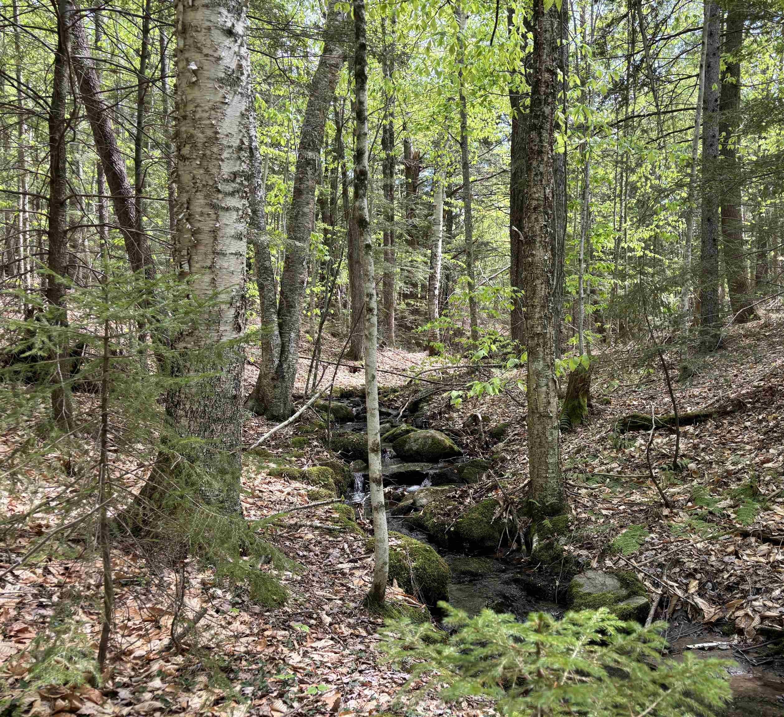 Other - 0 Snell Road, Chester, VT