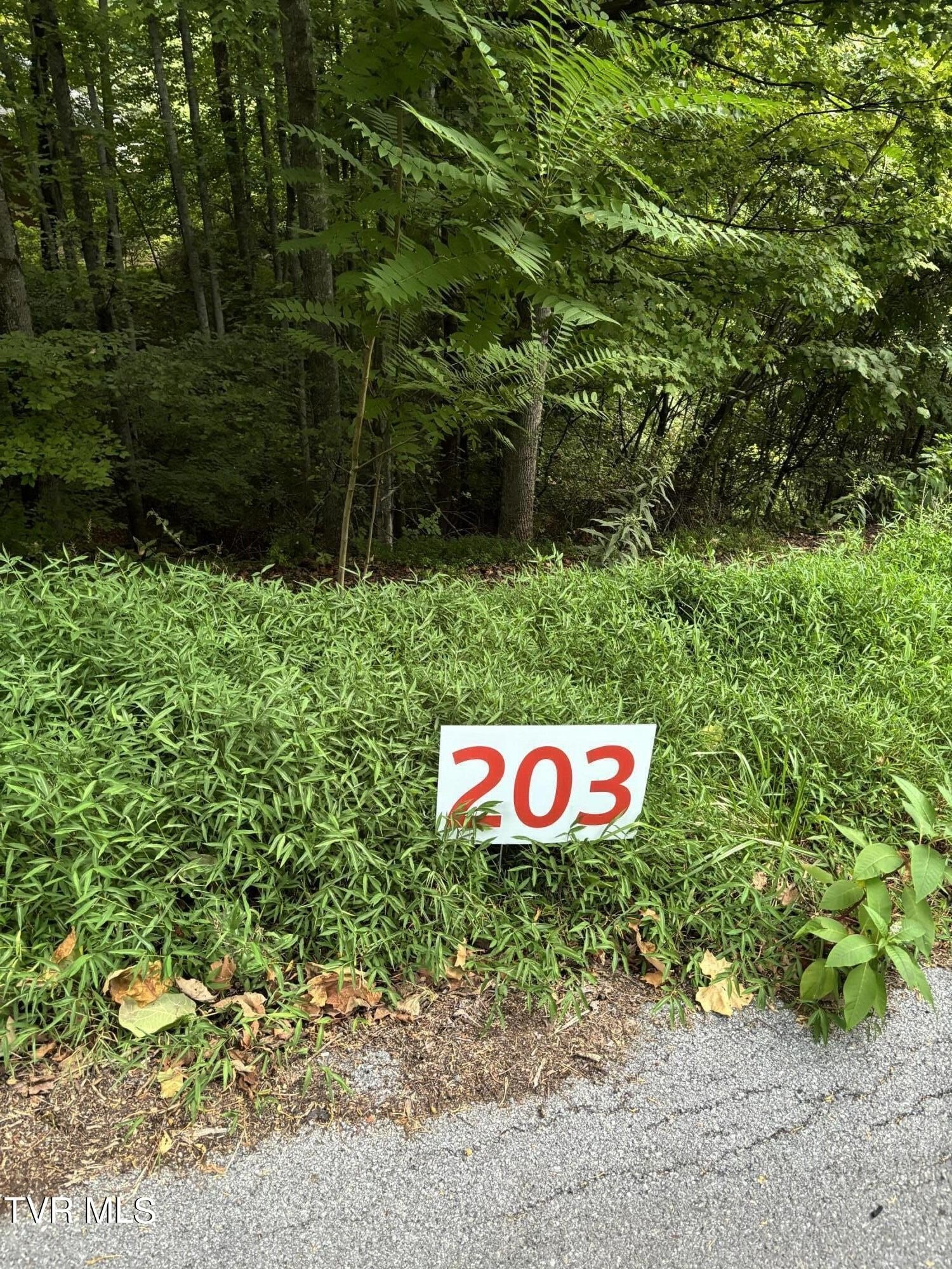 Other - 203 Ox Bow Ave, Unicoi, TN