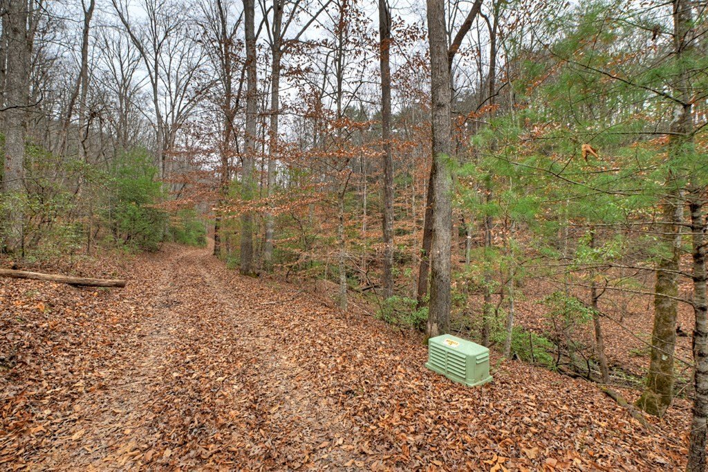 Other - Spruill Drive, Ellijay, GA