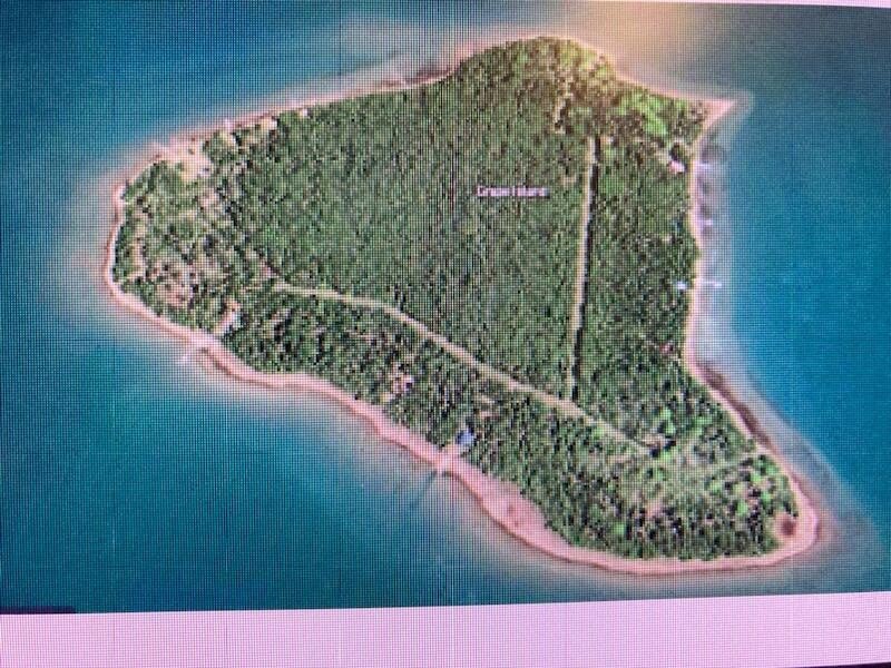 Other - Lot 43 S Grape Island, Drummond Island, MI