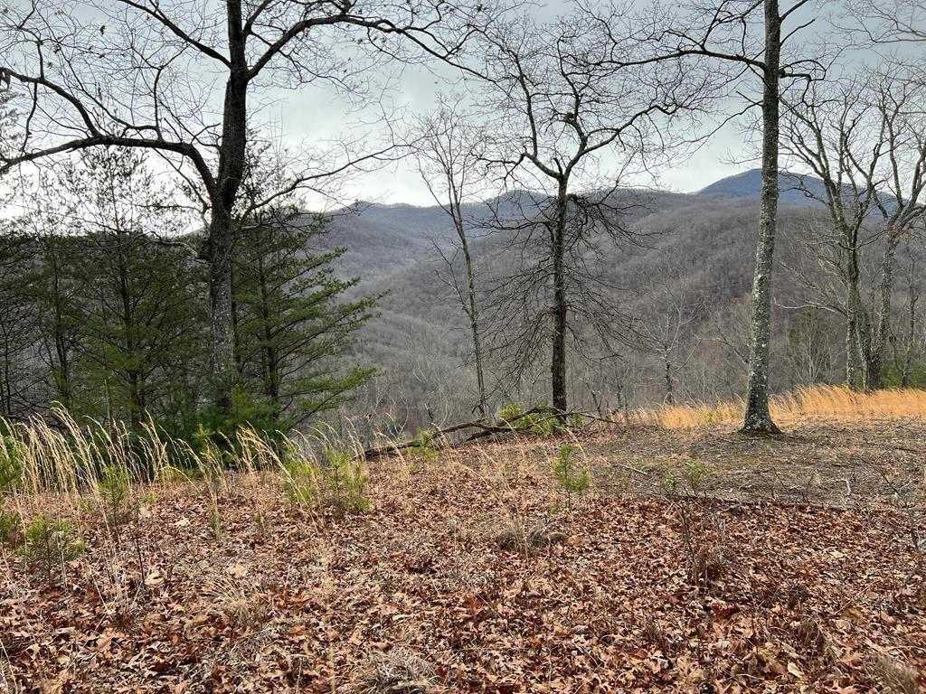 Other - Lot 137 Shiloh Ridge, HAYESVILLE, NC