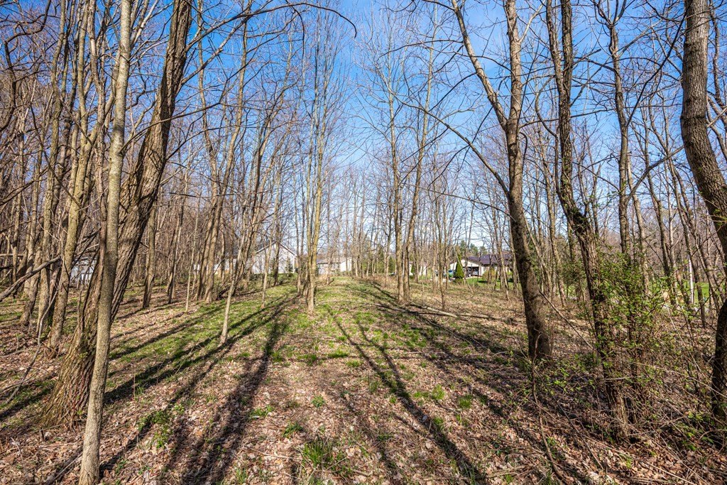 Other - 7326 State Route 19, Unit 7, Lots 186-189, Mount Gilead, OH