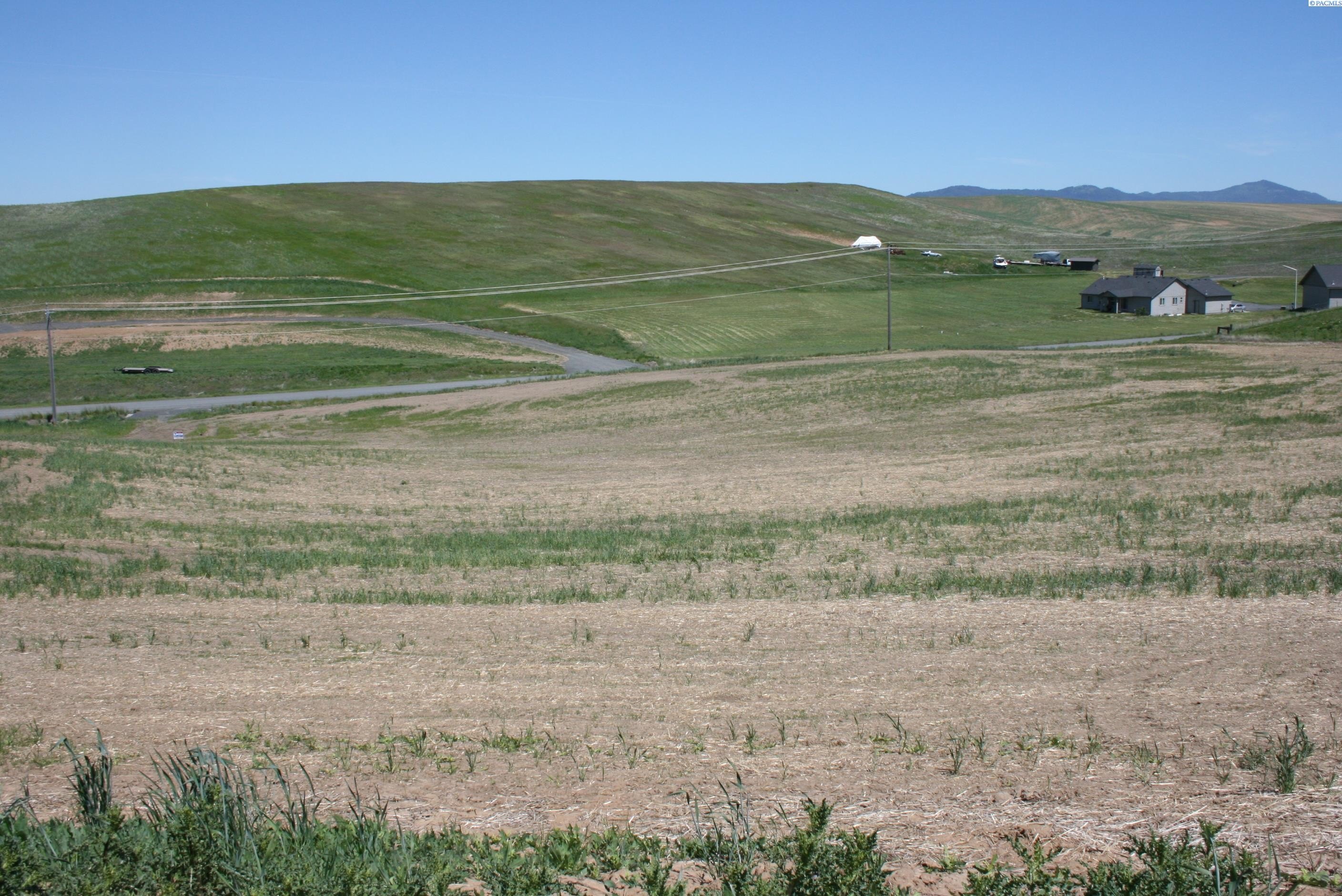 Other - 1491 Orville Boyd Road, Pullman, WA